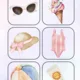 🧳☀️🍉 KUFOR PLNÝ LETA – výučbový PDF súbor pre deti v MŠ 🏖️🍓✈️ 5