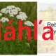 Poznávanie rastlín a húb lúk, polí a pasienkov 2
