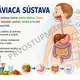 Teória v kocke – ľudské telo PDA 3.roč  3