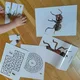 Zábavné aktivity s mravcom: gramotorika, labyrinty, skladačky 2