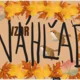 🍂Výzdoba nástenky a triedy - jesenná pastelová výzdoba do triedy🍂 5