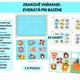 Zrakové vnímanie: Zvieratá pri bazéne 2