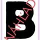 Vybrané slová 2