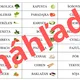 Rastliny pestované v záhradách (zelenina) 2