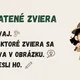 Sluchoví detektívi (súbor zvukových aktivít pre 1. stupeň) 2