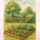🍎🥦 OVOCIE, ZELENINA A ČAROVNÁ ZÁHRADKA – súbor aktivít pre materské školy 🌿✨ 5