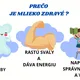 Deň mlieka 5