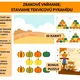 Zrakové vnímanie: Staviame tekvicovú pyramídu 2