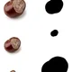 Jesenný balíček (senzorické hry, grafomorika, výzdoba, omaľovánky) 2