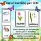 🌸☀️🍂❄️ Celoročné obrázkové kartičky – 4 ročné obdobia 2