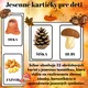 🌸☀️🍂❄️ Celoročné obrázkové kartičky – 4 ročné obdobia 4