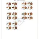 JESEŇ/ Jesenný les - zvieratká/ Demonštračné  kartičky, plagáty / 193 obrázkov 6