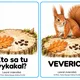 Kto sa to tu vykakal? (Jesenní pátrači - spoznávame les so smiechom) 3