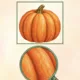 🎃 TEKVICOVÉ DOBRODRUŽSTVO -  Od semienka k jesennému objavovaniu 🕵️ 3