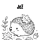 Jeseň 2