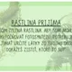 FOTOSYNTETICKÍ DETEKTÍVI – Odhaľ tajomstvo zelených rastlín! 2
