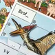 LOGICKÉ PUZZLE 5