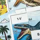 LOGICKÉ PUZZLE 6