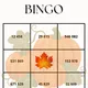 BINGO-prirodzené čísla v obore nad 10 000 4