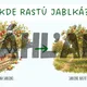 Interaktívna prezentácia - Deň jablka 3