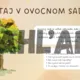 Interaktívna prezentácia - Jeseň v sade 2