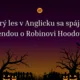 Halloweensky kvíz pre 2. stupeň 4