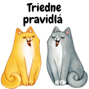 Triedne pravidlá