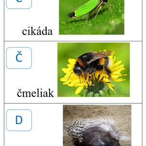 Abeceda - KARTY NA TRIEDENIE - zvieratá