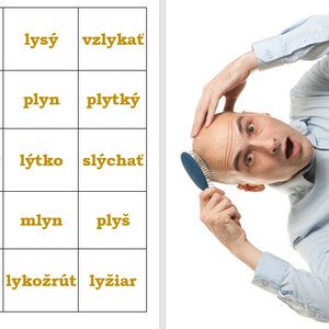 Slová s y, ý po tvrdej spoluhláske L - PUZZLE