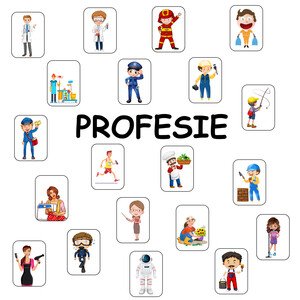 PROFESIE (povolanie)