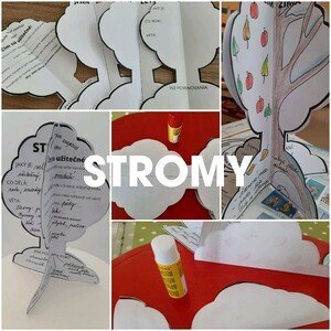 STROMY