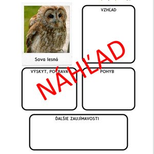 Živočíchy lesného spoločenstva – Sova lesná, Veverica stromová