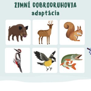 Didaktická pomôcka - hibernácia, adaptácia, migrácia