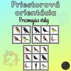 Prezimujúce vtáky, priestorová orientácia