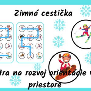 Zimná cestička