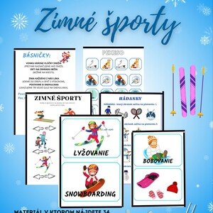 Zimné športy