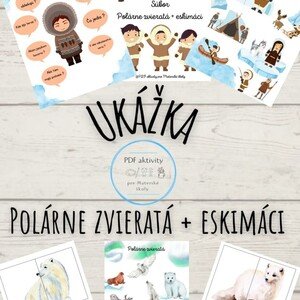 Súbor polárne zvieratá 