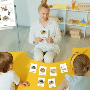  Domovy lesných zvierat – študijný materiál