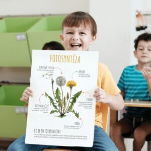  Púpava lekárska – 2 plagáty