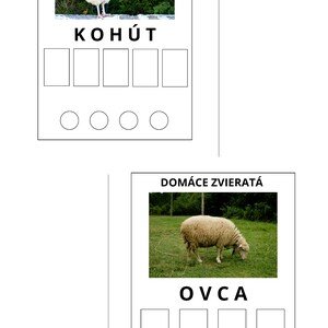 Domáce zvieratá