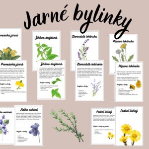 Jarné bylinky