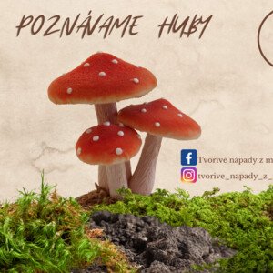 Poznávame huby