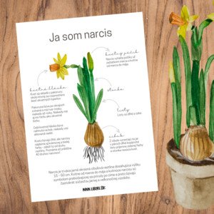  Ja som NARCIS – pracovné listy pre škôlkarov a 1. – 3. ročník ZŠ