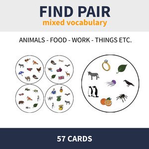 ENG - A1 FIND PAIR (mixed vocabulary)