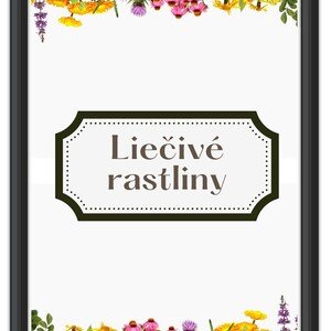 Liečivé rastliny