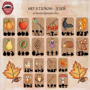 HRY S TIEŇOM