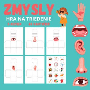 ZMYSLY - hra na triedenie