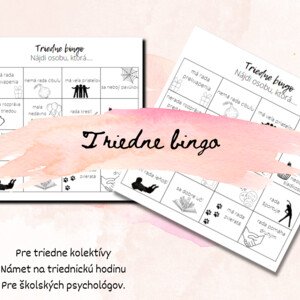 Triedne bingo