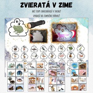 Presvieť baterkou a nájdi - zvieratá v zime, stopy
