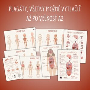 Ľudské telo - orgány